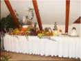 /album/svadba-vrakun-spolocenska-sala-2-/sdc11107-copy-jpg/